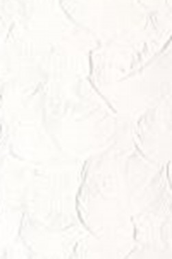 Winsor & Newton Winton Oil: Titanium White 200ml
