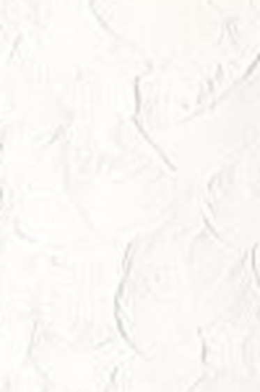 Winsor & Newton Winton Oil: Titanium White 37ml