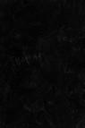 Gamblin Artist Oil: Ivory Black 150ml