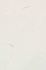 Gamblin Artist Oil: Titanium White 150ml