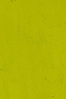 Gamblin FastMatte Alkyd Oil: Cadmium Green 37ml