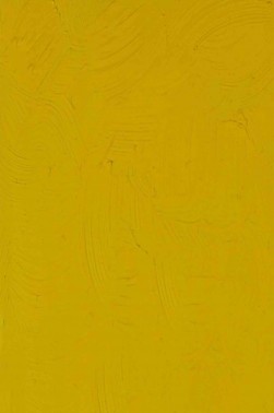 Gamblin FastMatte Alkyd Oil: Hansa Yellow Medium 37ml