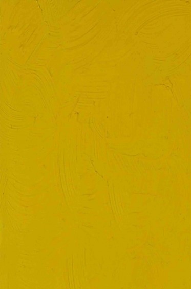 Gamblin FastMatte Alkyd Oil: Hansa Yellow Medium 37ml