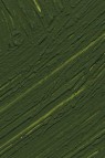 Williamsburg Oil: Earth Green 37ml