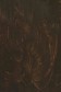 Gamblin FastMatte Alkyd Oil: Raw Umber 37ml