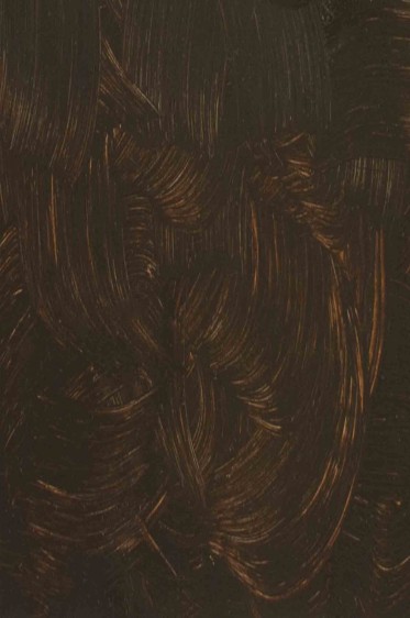 Gamblin FastMatte Alkyd Oil: Raw Umber 37ml