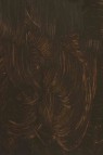 Gamblin FastMatte Alkyd Oil: Raw Umber 37ml