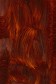 Gamblin FastMatte Alkyd Oil: Transparent Earth Red 37ml