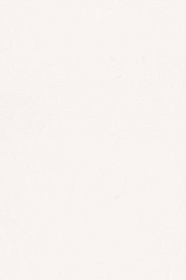 Gamblin FastMatte Alkyd Oil: Titanium White 37ml