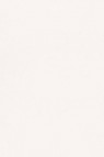 Gamblin FastMatte Alkyd Oil: Titanium White 37ml