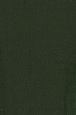Maimeri Classico Oil: Cinnabar Green Deep 200ml