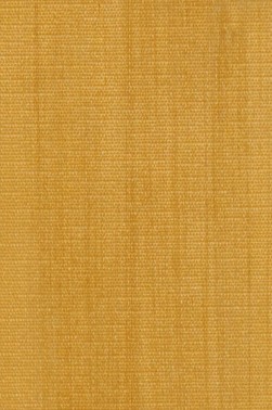 Maimeri Classico Oil: Light Gold  60ml
