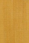 Maimeri Classico Oil: Light Gold  60ml