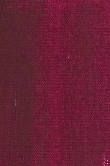 Maimeri Classico Oil: Permanent Violet Reddish 200ml