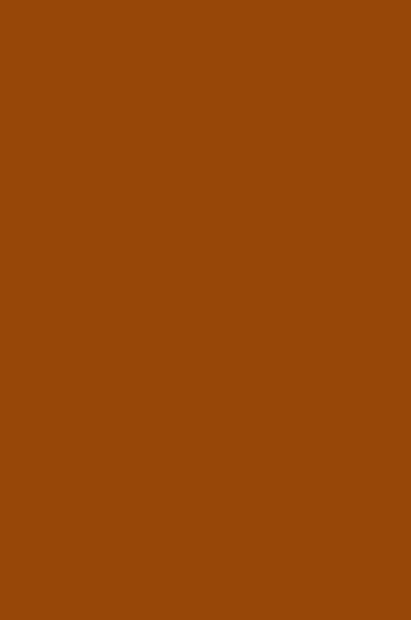 Magi Wap Acrylic Color: Burnt Sienna 60ml
