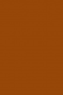 Magi Wap Acrylic Color: Burnt Sienna 300ml