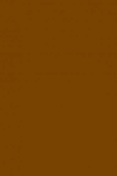 Magi Wap Acrylic Color: Burnt Umber 60ml