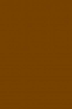 Magi Wap Acrylic Color: Burnt Umber 300ml