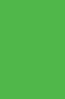 Magi Wap Acrylic Color: Emerald Green 60ml