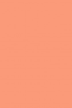 Magi Wap Acrylic Color: Flesh Tint 60ml