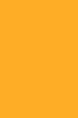 Magi Wap Acrylic Color: Fluorescent Orange Yellow 60ml