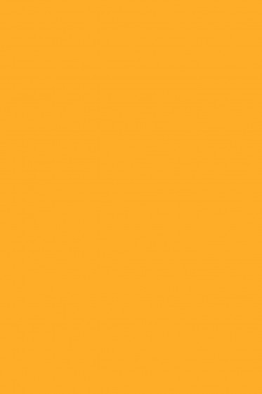 Magi Wap Acrylic Color: Fluorescent Orange Yellow 60ml