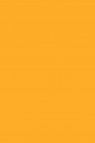 Magi Wap Acrylic Color: Fluorescent Orange Yellow 60ml