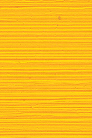 Williamsburg Oil: Cadmium Yellow Deep 37ml