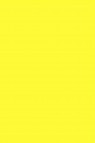 Magi Wap Acrylic Color: Fluorescent Yellow 60ml