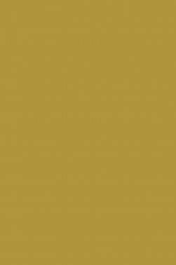 Magi Wap Acrylic Color: Gold 60ml