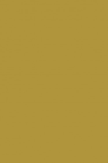 Magi Wap Acrylic Color: Gold 60ml