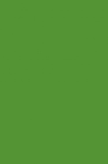 Magi Wap Acrylic Color: Grass Green 1200ml