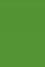 Magi Wap Acrylic Color: Grass Green 1200ml