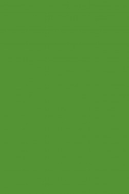 Magi Wap Acrylic Color: Grass Green 300ml