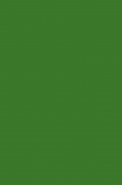 Magi Wap Acrylic Color: Green Medium 60ml