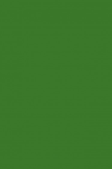 Magi Wap Acrylic Color: Green Medium 60ml