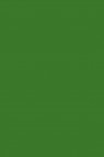 Magi Wap Acrylic Color: Green Medium 60ml