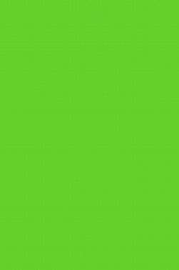 Magi Wap Acrylic Color: Green Light 60ml