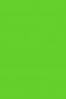Magi Wap Acrylic Color: Green Light 60ml