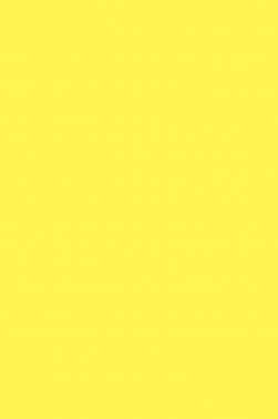 Magi Wap Acrylic Color: Lemon Yellow 1200ml