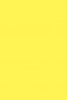 Magi Wap Acrylic Color: Lemon Yellow 300ml