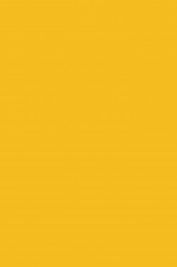 Magi Wap Acrylic Color: Orange Yellow 60ml
