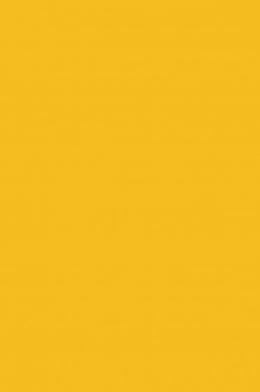 Magi Wap Acrylic Color: Orange Yellow 60ml