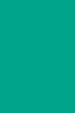 Magi Wap Acrylic Color: Phthalo Green 60ml