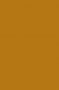 Magi Wap Acrylic Color: Raw Sienna 60ml