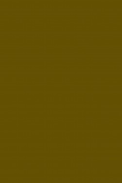 Magi Wap Acrylic Color: Raw Umber 60ml