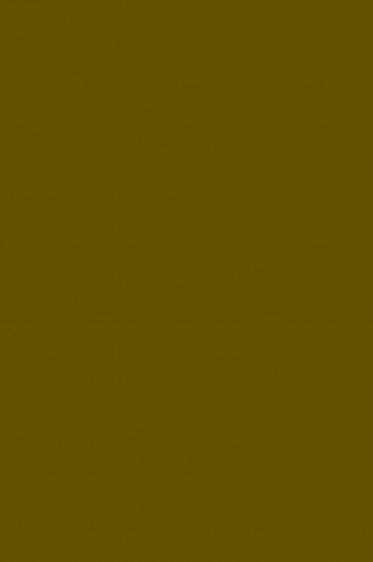 Magi Wap Acrylic Color: Raw Umber 60ml