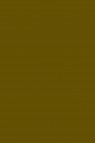 Magi Wap Acrylic Color: Raw Umber 60ml