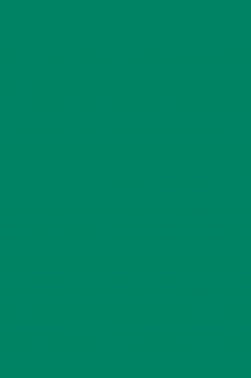 Magi Wap Acrylic Color: Viridian 1200ml