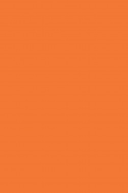 Magi Wap Acrylic Color: Vermillion 300ml